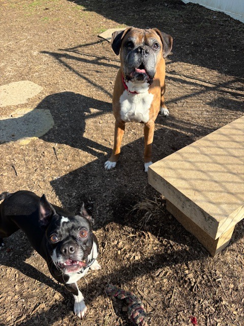 Duke