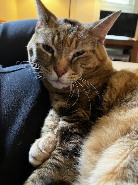 Kiki