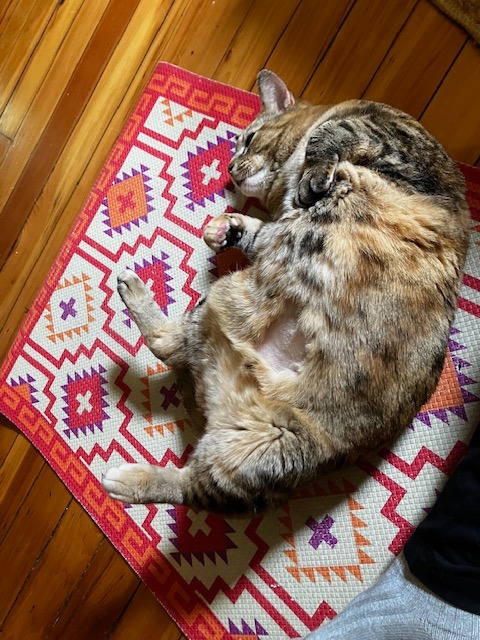 Kiki