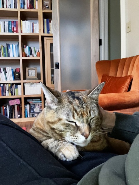 Kiki