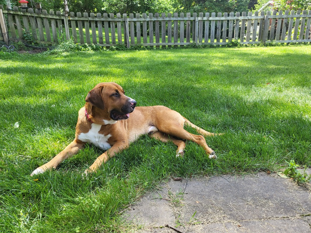 Briscoe