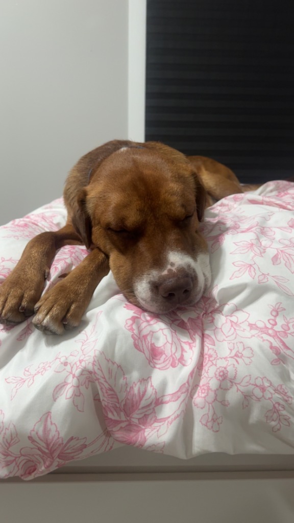 Roscoe