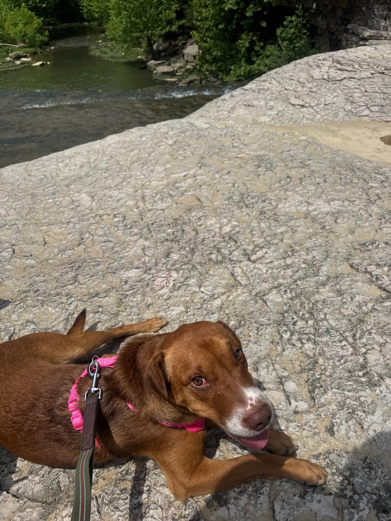 Roscoe