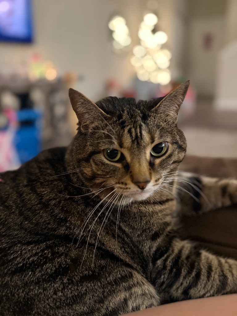Lulu