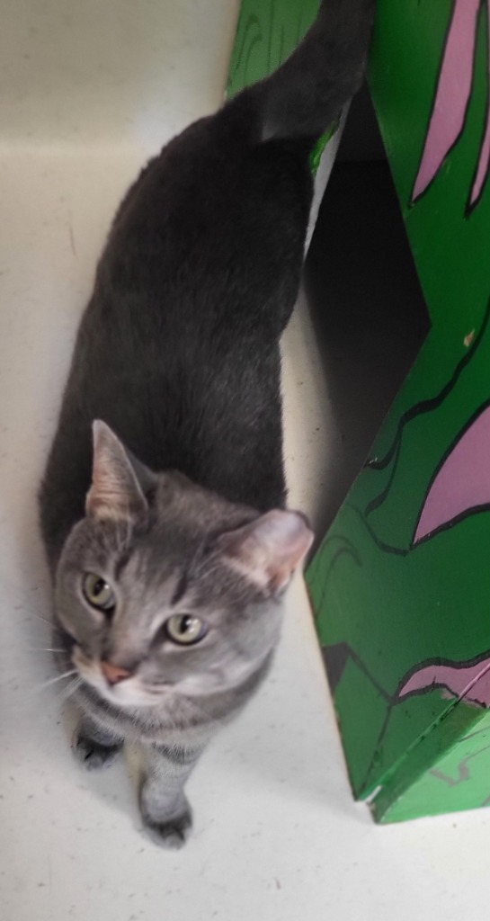 Rosie
