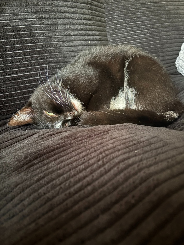 Wilbur