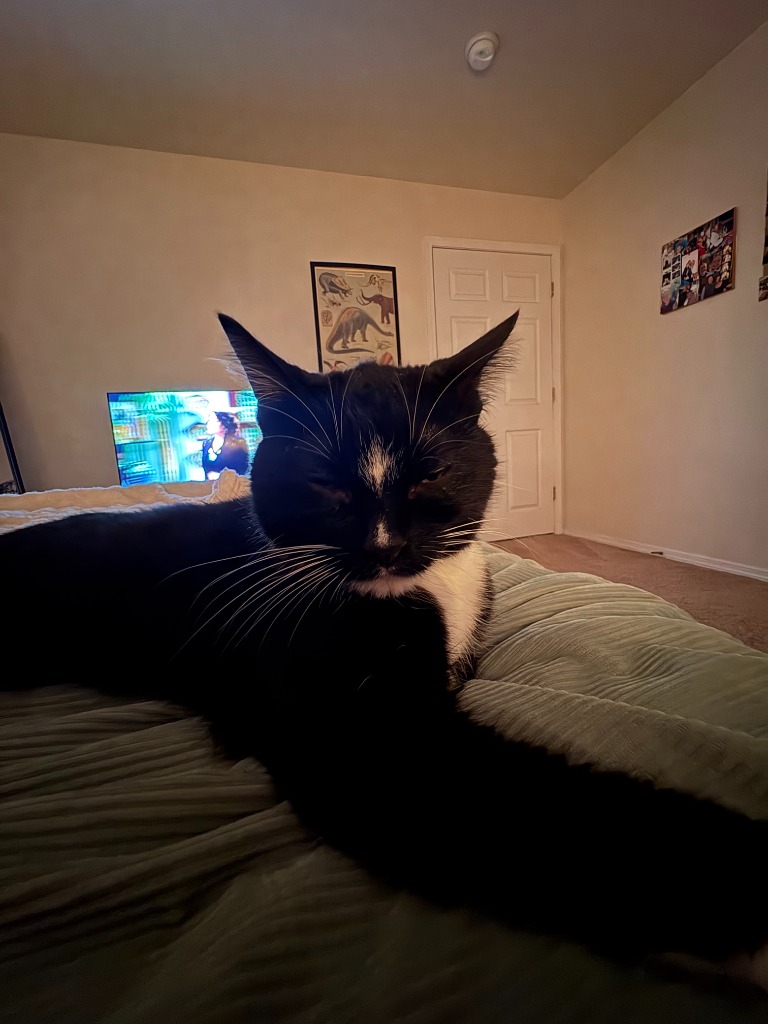 Wilbur