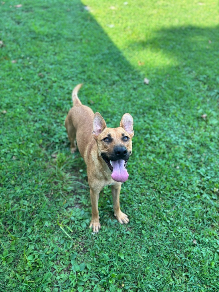 Zoey