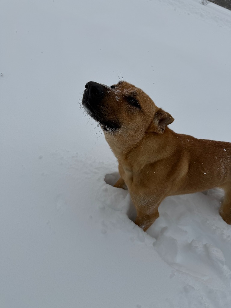 Zoey