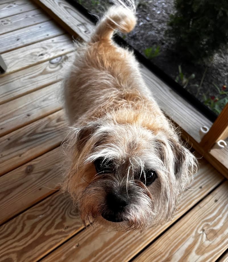 Zeke