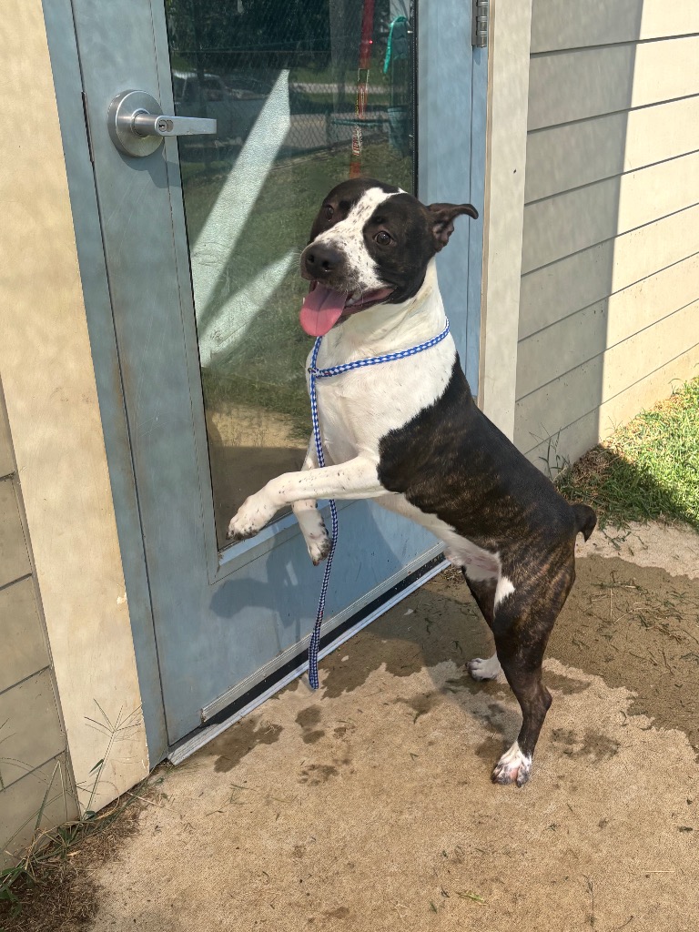 Frostbite