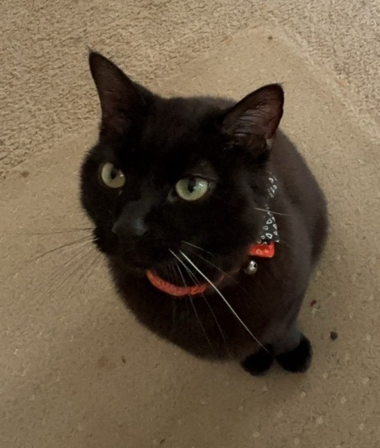 Sam