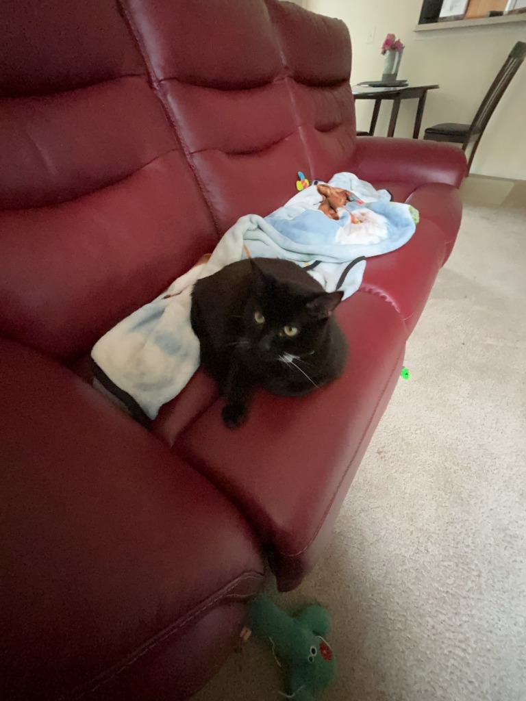 Sam