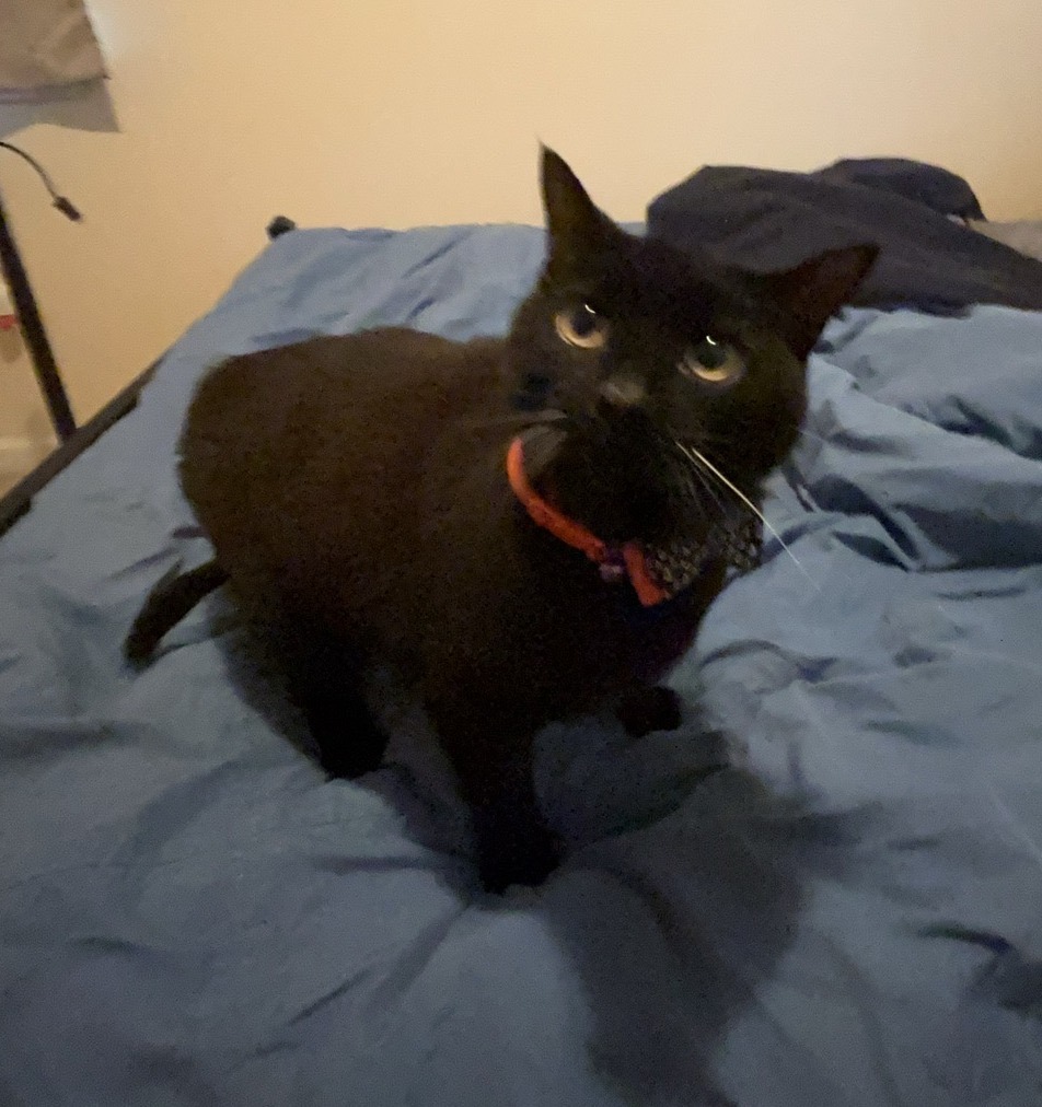 Sam