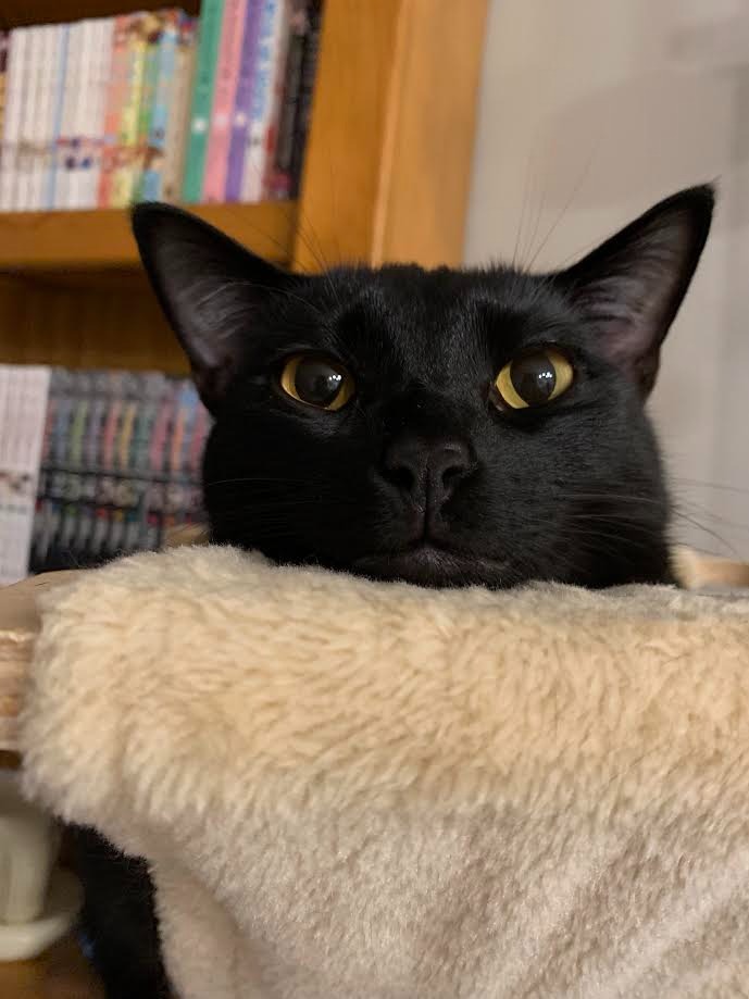 Pete