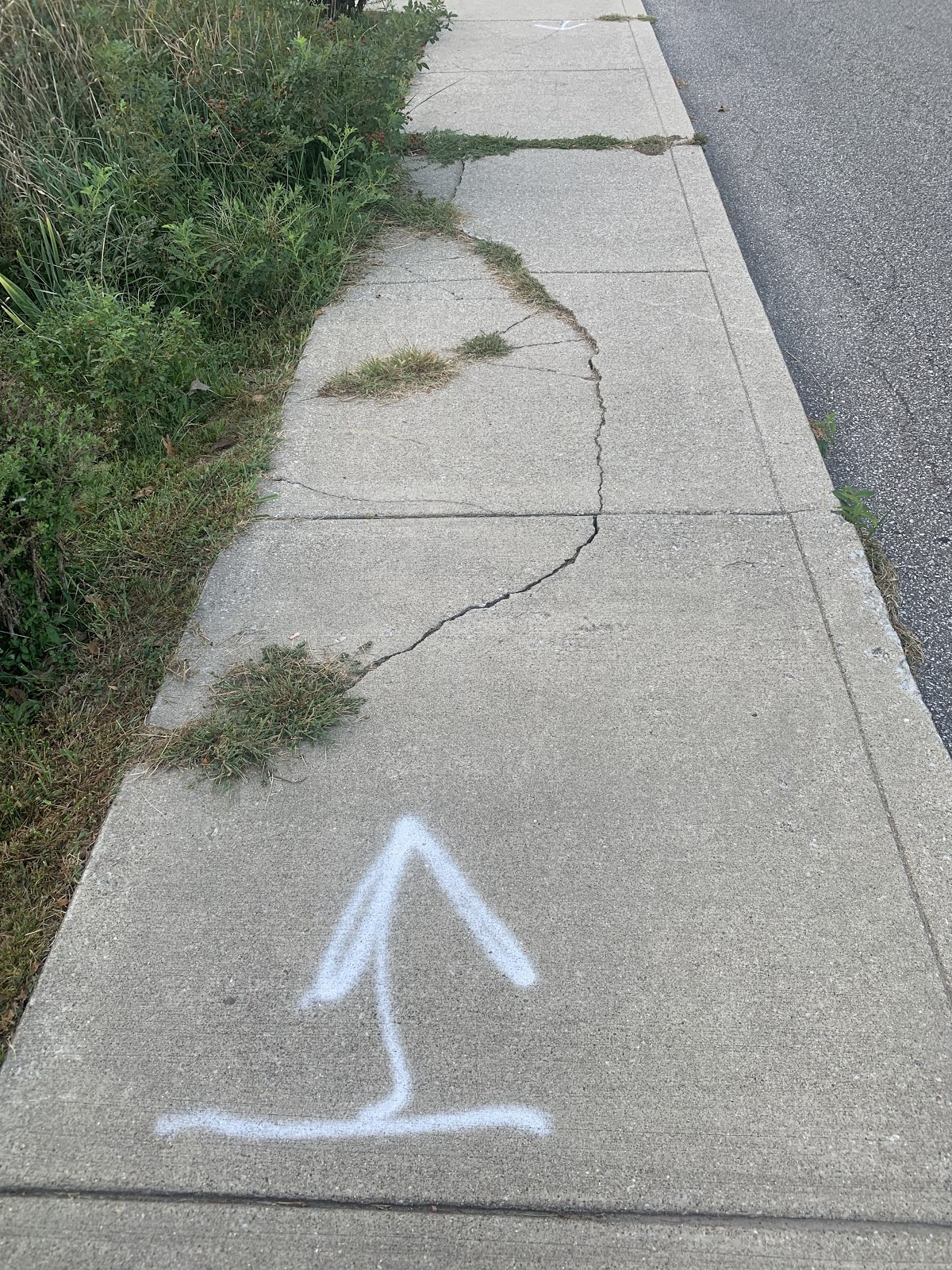 Broken Sidewalk