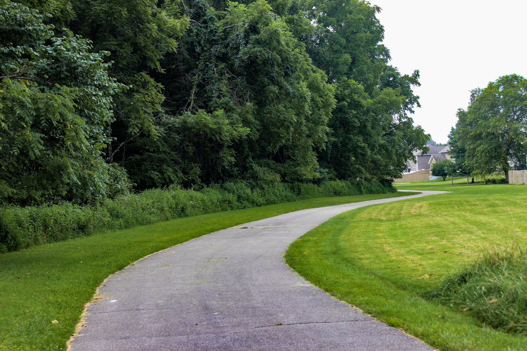Asphalt trail curving next to wooded edge of creek.