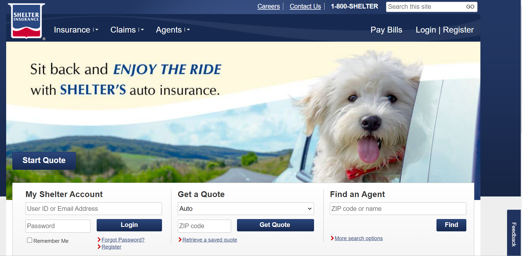 Sit back and enjoy the ride with Shelter's auto insurance! Dog with its head hanging out a car window